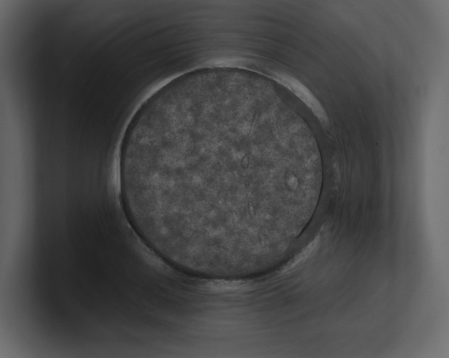 X0000100491036200807111118