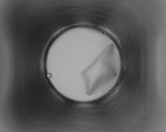 X0000100491037200807111118