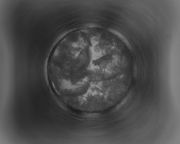 X0000100491039200807111118