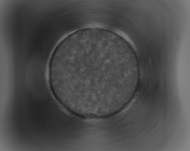 X0000100491040200807111118