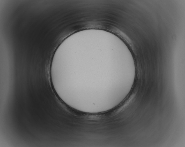 X0000100491041200807111118