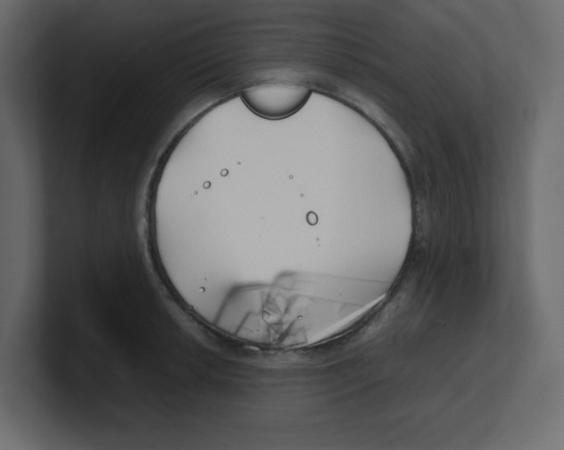 X0000100491042200807111118