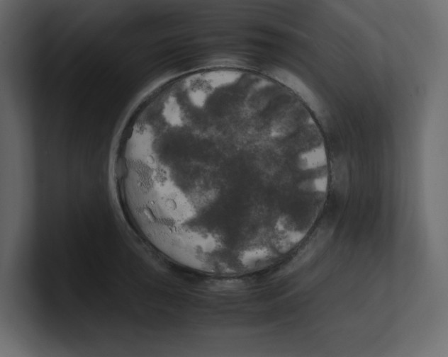 X0000100491043200807111118