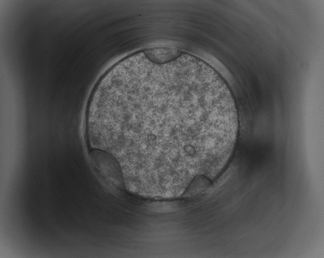 X0000100491044200807111118