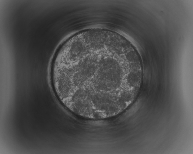 X0000100491045200807111118