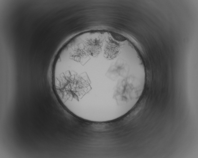 X0000100491046200807111118
