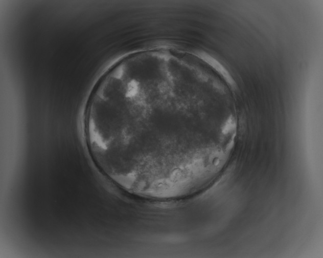X0000100491047200807111118