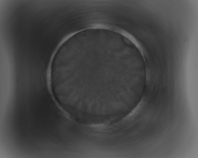 X0000100491048200807111118