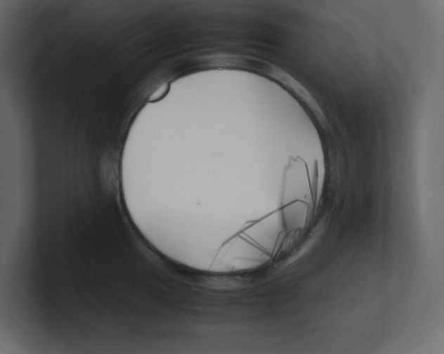 X0000100491049200807111118