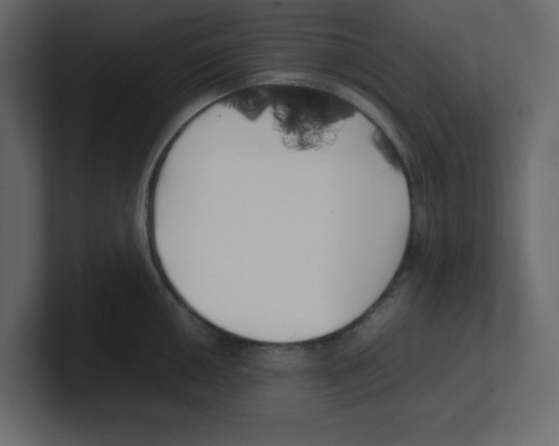 X0000100491050200807111118