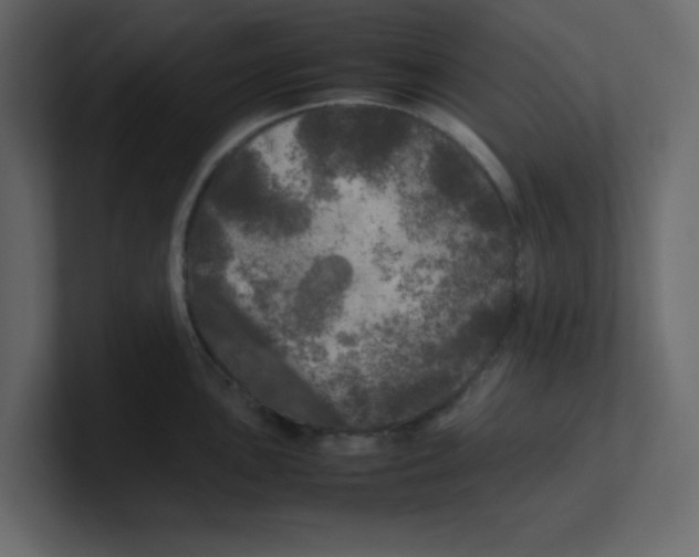 X0000100491051200807111118
