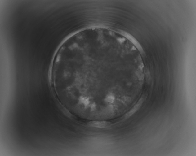 X0000100491052200807111118