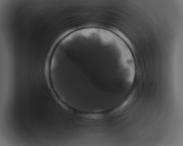 X0000100491053200807111118