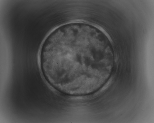 X0000100491054200807111118