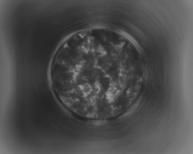 X0000100491055200807111118