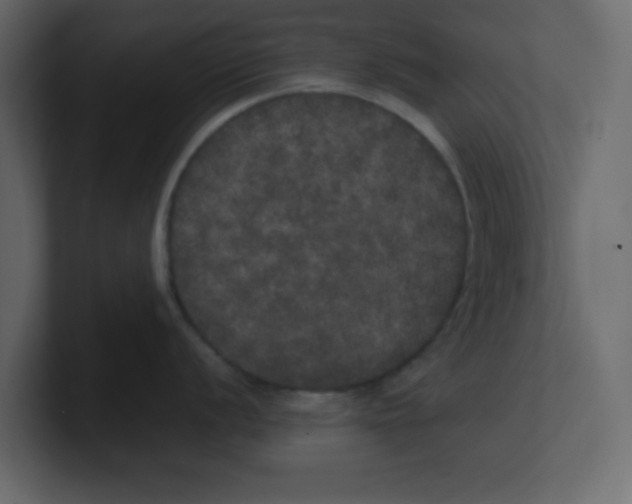 X0000100491056200807111118