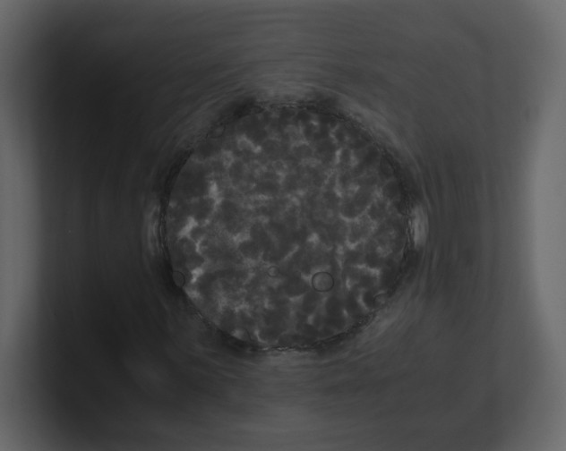 X0000100491059200807111118
