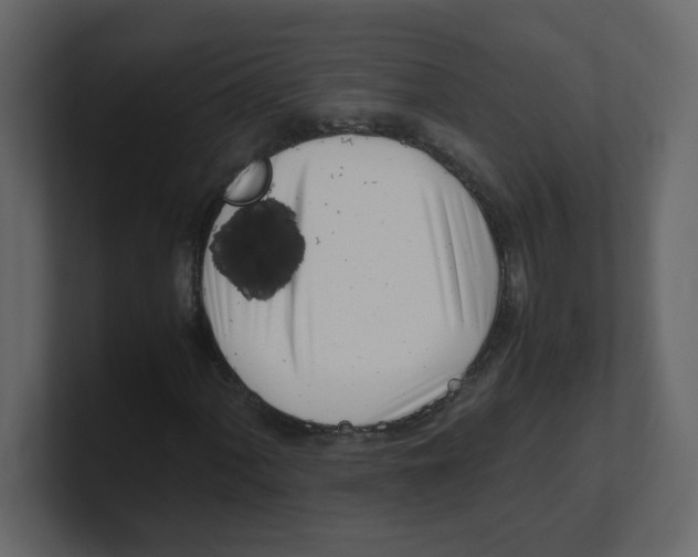 X0000100491060200807111118