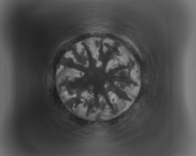 X0000100491063200807111118