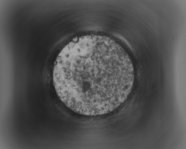 X0000100491064200807111118