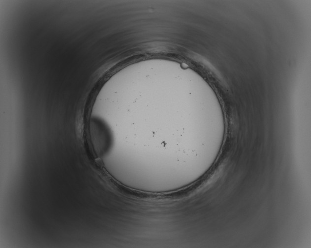 X0000100491065200807111118
