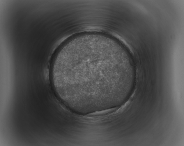 X0000100491066200807111118