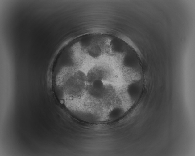 X0000100491067200807111118