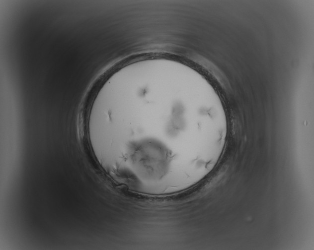 X0000100491069200807111118