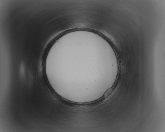 X0000100491070200807111118