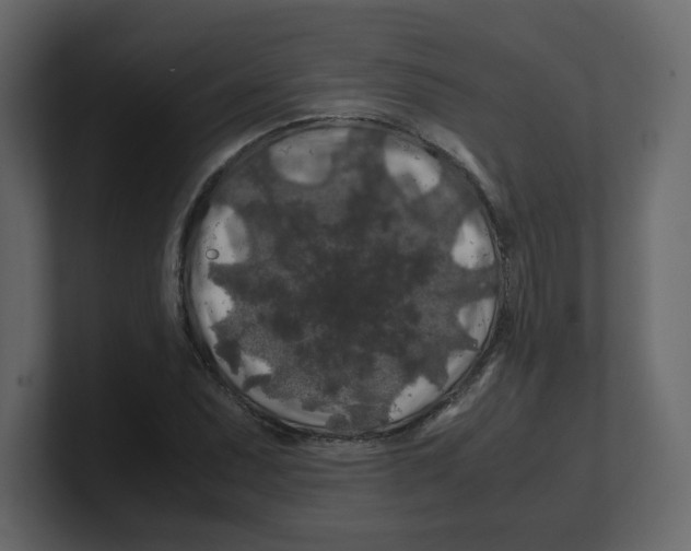 X0000100491071200807111118