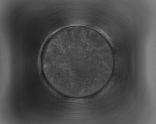 X0000100491072200807111118