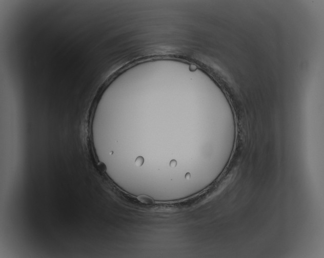 X0000100491073200807111118