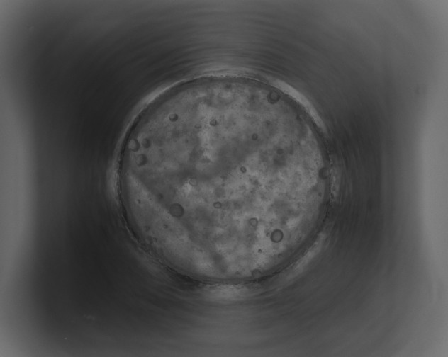 X0000100491074200807111118