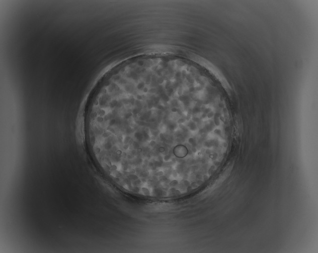 X0000100491075200807111118
