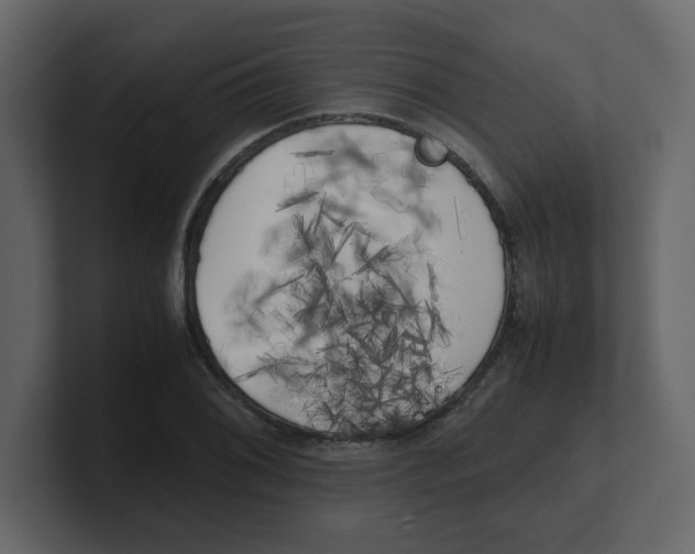 X0000100491076200807111118