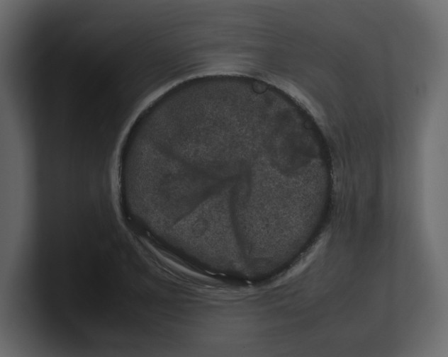 X0000100491077200807111118