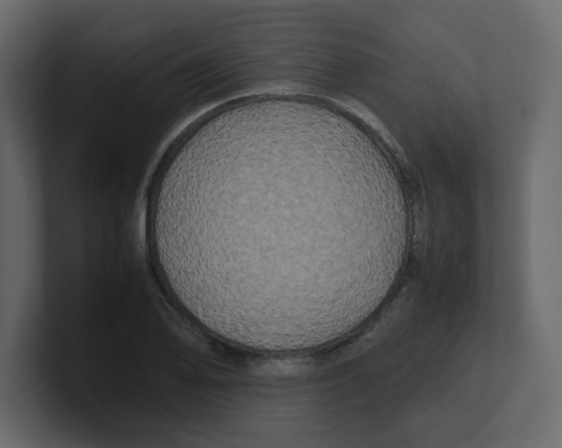 X0000100491078200807111117