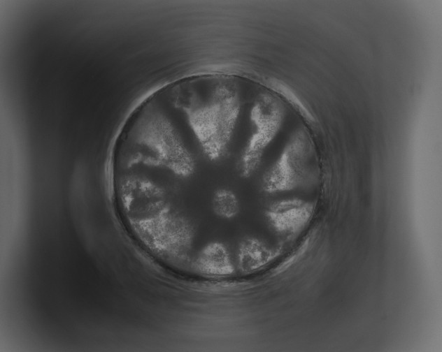 X0000100491079200807111117