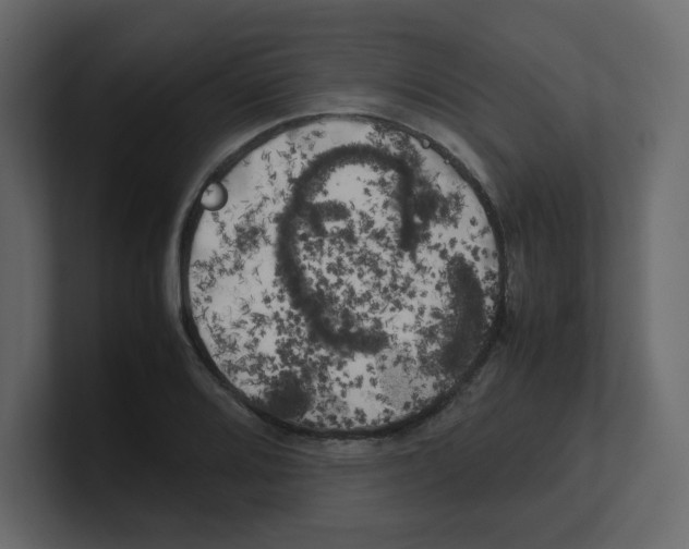 X0000100491080200807111117