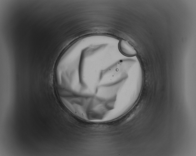 X0000100491081200807111117