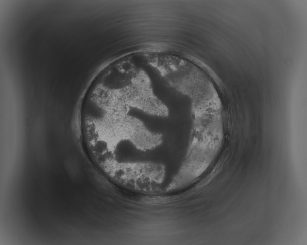 X0000100491083200807111117