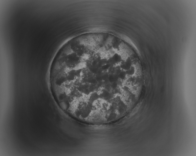 X0000100491087200807111117