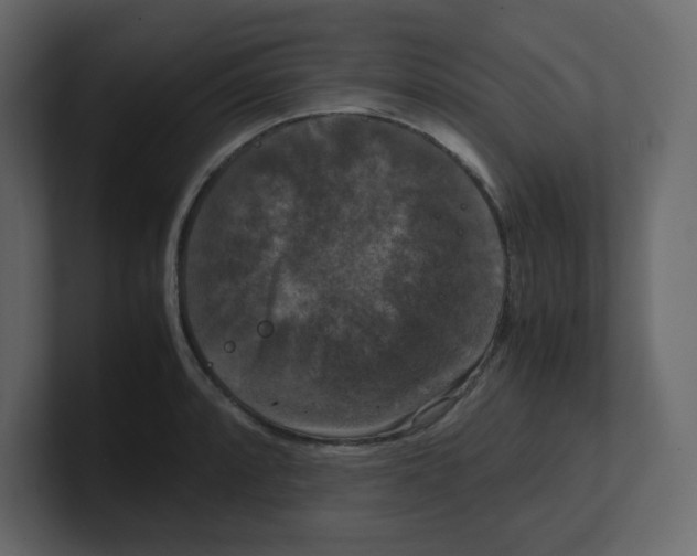 X0000100491088200807111117
