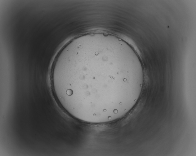 X0000100491090200807111117
