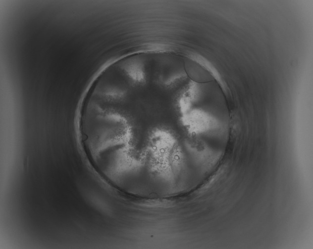 X0000100491091200807111117