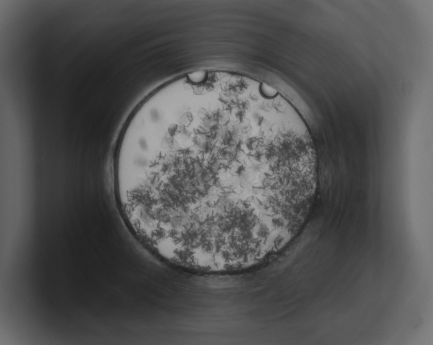 X0000100491092200807111117
