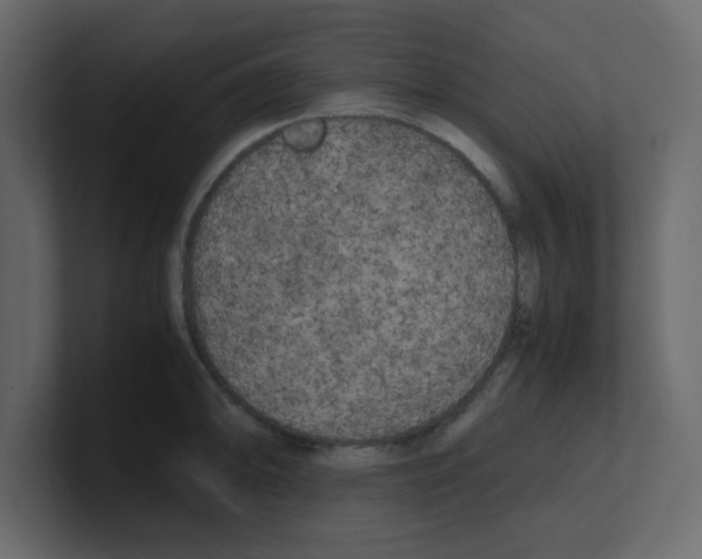 X0000100491094200807111117