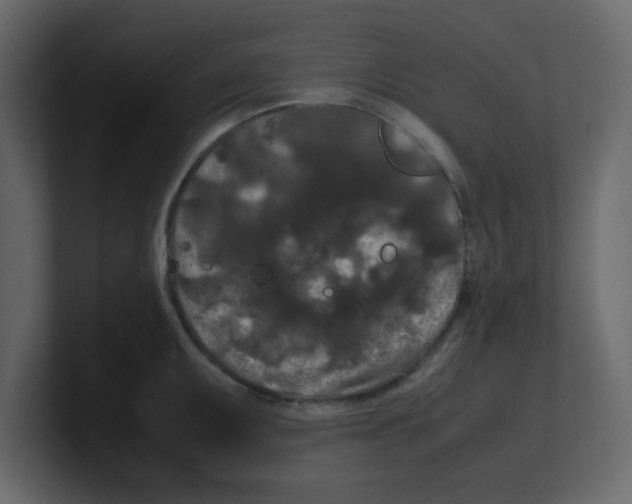 X0000100491095200807111117