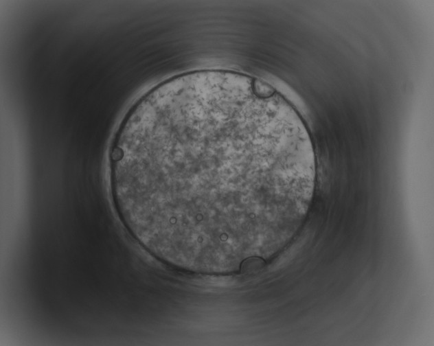 X0000100491096200807111117