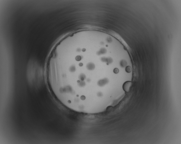 X0000100491098200807111117